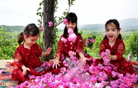 ثبت جشنواره گلاب‌گیری بانه در تقویم گردشگری