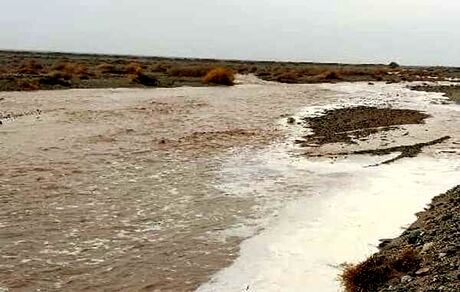 خسارت سیل به ۲۸ خانوار عشایر سیروان 