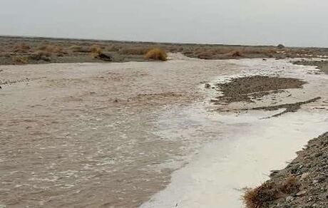 خسارت سیل به ۲۸ خانوار عشایر سیروان 