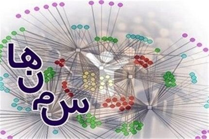 مطالبه گری حوزه خانواده باید از سمن ها شروع شود