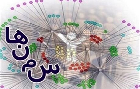 مطالبه گری حوزه خانواده باید از سمن ها شروع شود