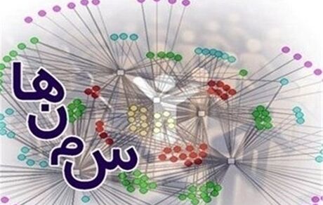 مطالبه گری حوزه خانواده باید از سمن ها شروع شود