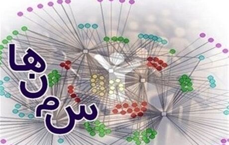 مطالبه گری حوزه خانواده باید از سمن ها شروع شود