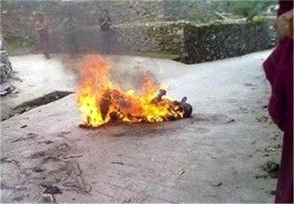 خودسوزی به خاطر یک پیمانه برنج
