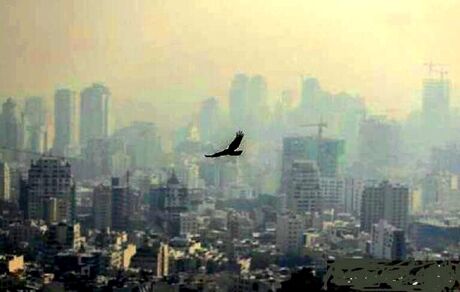 تهرانی‌ها برای تنفس هوای تمیز تا یکشنبه صبر کنند