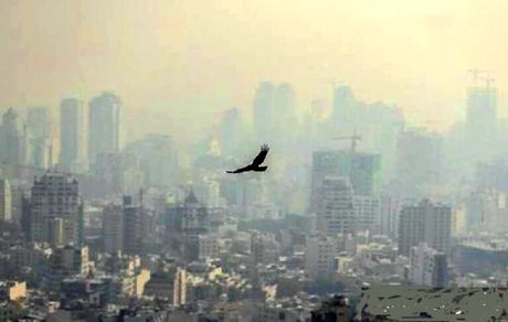 تهرانی‌ها برای تنفس هوای تمیز تا یکشنبه صبر کنند