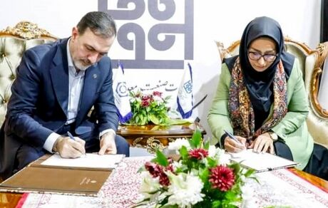 تفاهم‌نامه همکاری صندوق ضمانت صادرات و رئیس مرکز ملی فرش ایران امضا شد