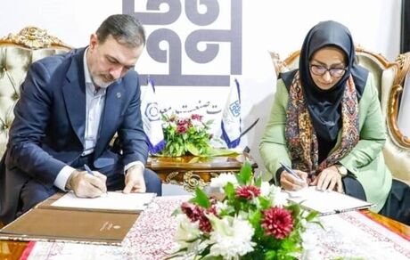 تفاهم‌نامه همکاری صندوق ضمانت صادرات و رئیس مرکز ملی فرش ایران امضا شد