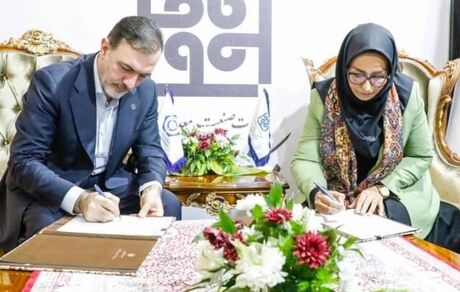 تفاهم‌نامه همکاری صندوق ضمانت صادرات و رئیس مرکز ملی فرش ایران امضا شد