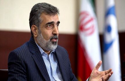 سخنگوی سازمان انرژی اتمی: تحریم صالحی از روی استیصال آمریکا است