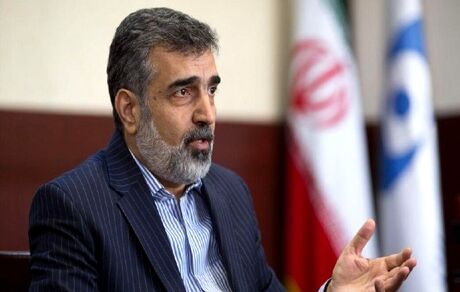 سخنگوی سازمان انرژی اتمی: تحریم صالحی از روی استیصال آمریکا است