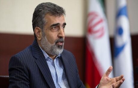 سخنگوی سازمان انرژی اتمی: تحریم صالحی از روی استیصال آمریکا است
