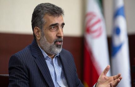 سخنگوی سازمان انرژی اتمی: تحریم صالحی از روی استیصال آمریکا است