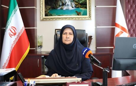 بانک مسکن ۴ هزار هموطن گیلانی را خانه دار کرد
