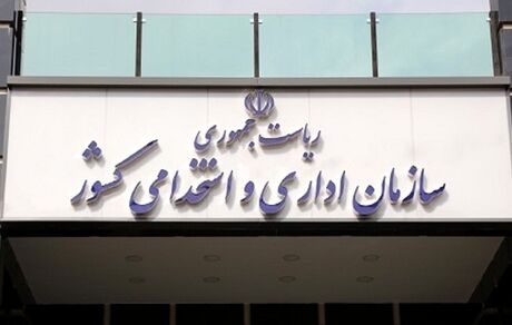 آخرین وضعیت روند ساماندهی نیروهای شرکتی