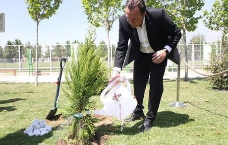 ماجرای عجیب شکایت ویلموتس از ایران 