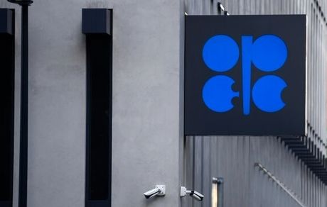 واکنش تولیدکنندگان اوپک به افزایش قیمت گاز