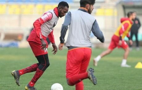 قربانی کردن گوسفند و برگزاری جشن تولد کامیابی‌نیا در تمرین پرسپولیس