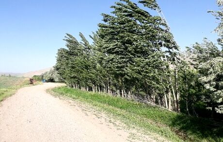 تندباد با سرعت ۱۰۱ کیلومتر بر ساعت در میاندوآب