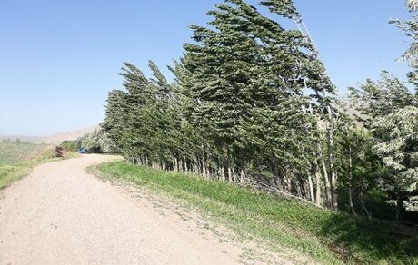 تندباد با سرعت ۱۰۱ کیلومتر بر ساعت در میاندوآب