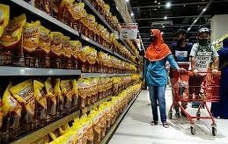 وزیر جهاد کشاورزی: در تامین روغن هیچ مشکلی وجود ندارد/ مرغ، تخم‌مرغ و لبنیات به اندازه کافی تولید می‌شود