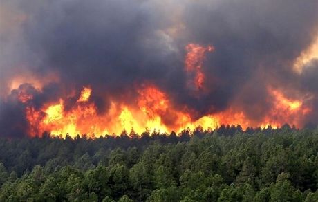 آتش سوزی در جنگل‌های کلاردشت