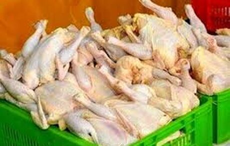 نرخ مصوب مرغ اعلام شد