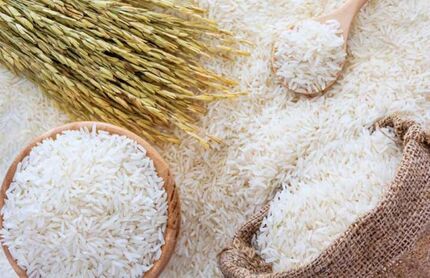 خرید توافقی ۱۱ هزار تن برنج از شالیکاران استان مازندران