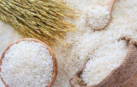 خرید توافقی ۱۱ هزار تن برنج از شالیکاران استان مازندران