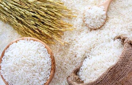 خرید توافقی ۱۱ هزار تن برنج از شالیکاران استان مازندران