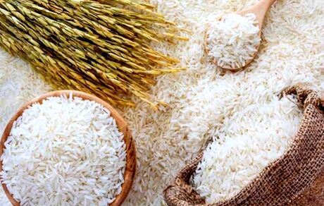 خرید توافقی ۱۱ هزار تن برنج از شالیکاران استان مازندران