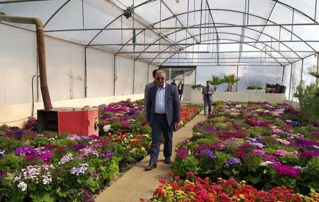 کاشت ۳ میلیون بوته گل در سطح شهر ارومیه