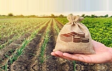 صادرات محصولات کشاورزی ایران ۳۵ درصد افزایش یافت