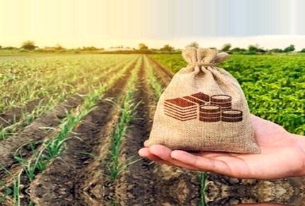 صادرات محصولات کشاورزی ایران ۳۵ درصد افزایش یافت