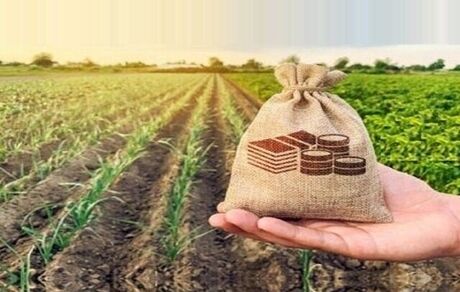 صادرات محصولات کشاورزی ایران ۳۵ درصد افزایش یافت