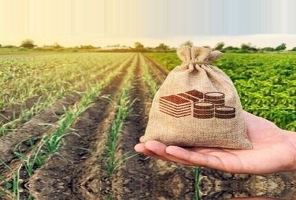 صادرات محصولات کشاورزی ایران ۳۵ درصد افزایش یافت