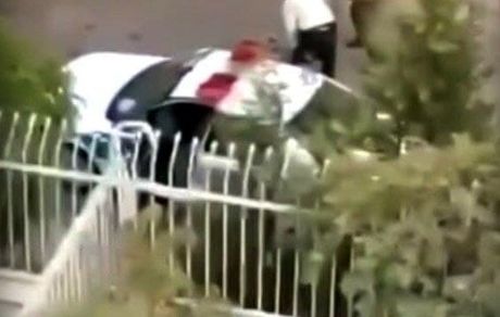 واکنش پلیس به ویدئوی منتشره درخصوص برخورد نامناسب با سگ گردان