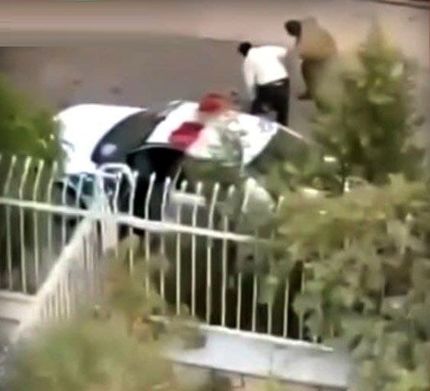 واکنش پلیس به ویدئوی منتشره درخصوص برخورد نامناسب با سگ گردان