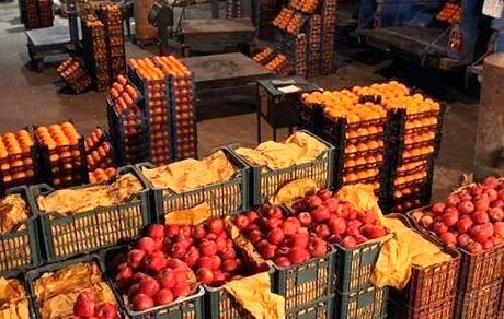 عرضه مستقیم میوه در سراسر کشور