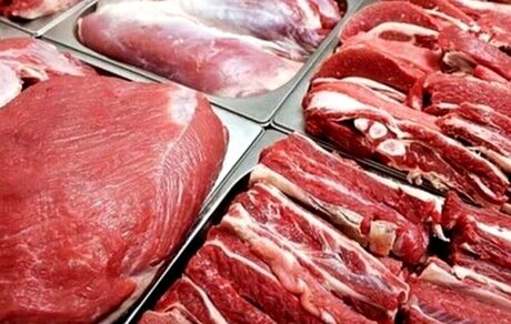 واردات گوشت گرم، بازار را به تعادل رسانده است