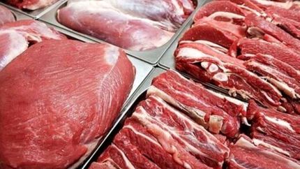 واردات گوشت گرم، بازار را به تعادل رسانده است