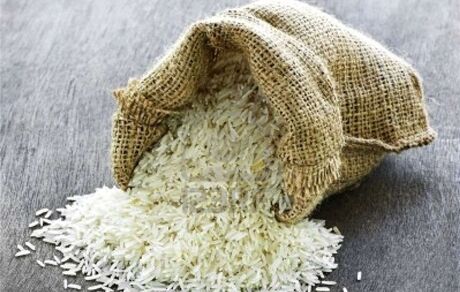 واردات برنج فعلا ممنوع است