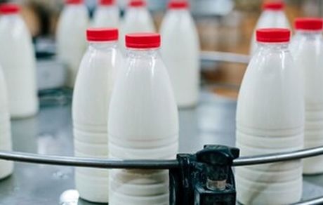 قیمت هر کیلو شیرخام ۱۵ هزار تومان تصویب شد