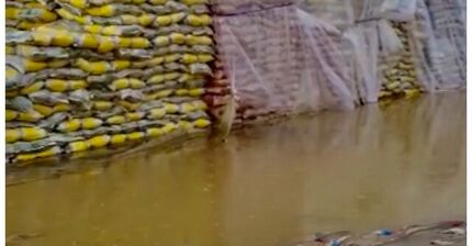 انجمن واردکنندگان برنج: در مورد شرایط نامناسب نگهداری محموله‌های برنج در گمرک زاهدان هشدار داده‌ بودیم