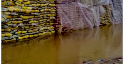 انجمن واردکنندگان برنج: در مورد شرایط نامناسب نگهداری محموله‌های برنج در گمرک زاهدان هشدار داده‌ بودیم