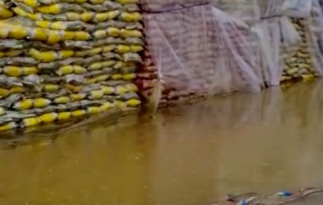 انجمن واردکنندگان برنج: در مورد شرایط نامناسب نگهداری محموله‌های برنج در گمرک زاهدان هشدار داده‌ بودیم