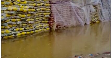 انجمن واردکنندگان برنج: در مورد شرایط نامناسب نگهداری محموله‌های برنج در گمرک زاهدان هشدار داده‌ بودیم