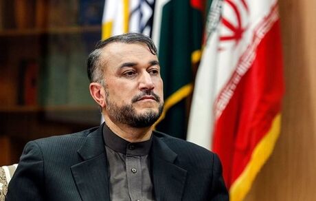 امیر عبداللهیان: دولت، ایرانیان خارج از کشور را فرصت تلقی می کند