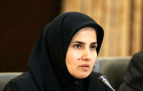 جنیدی: مبنای حقوقی برای ابلاغ پالرمو وجود دارد/ رئیس جمهور در این باره تصمیم می گیرد