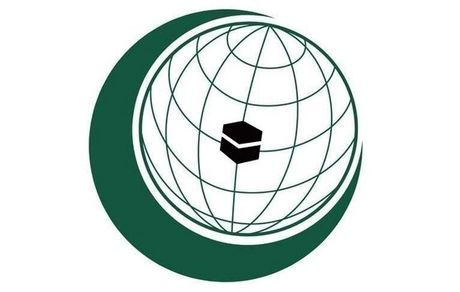 درخواست سازمان همکاری اسلامی برای اعمال فشار علیه رژیم صهیونسیتی